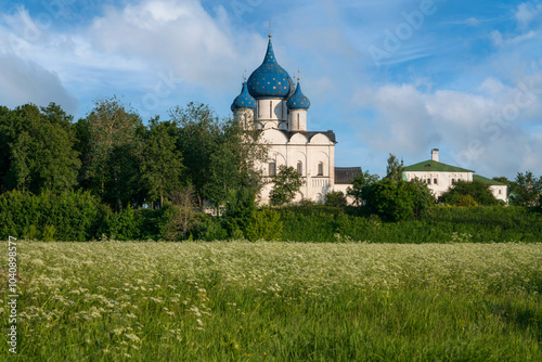 Cathedral of the Nativity of the Blessed Virgin Mary (Theotokos-Nativity Cathedral) of the Suzdal Kremlin on a summer sunny day, Vladimir region, Russia photo