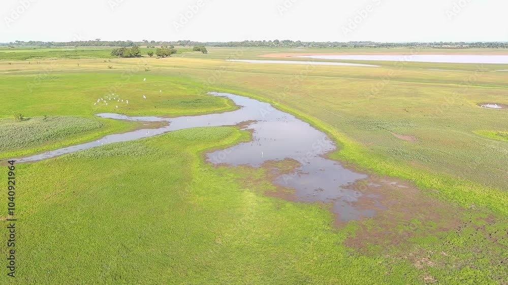 drought in the Amazon rivers
drought in the Amazon rivers