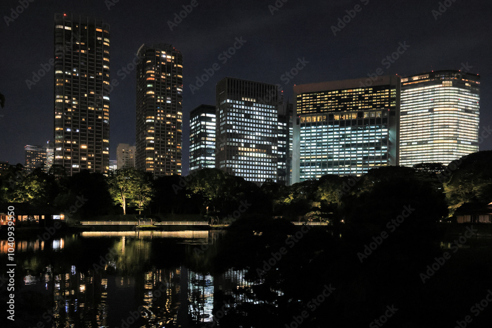 Obraz premium 都心散歩 夜の浜離宮