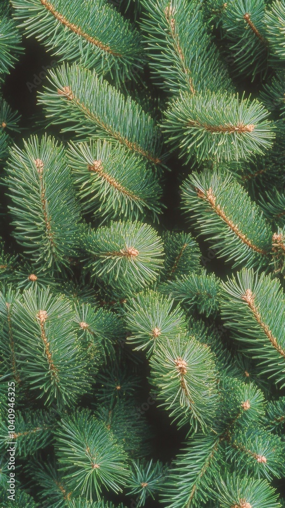 Vibrant Green Pine Needles with Textured Detail for Holiday Designs Vibrant Green Pine Needles with Textured Detail for Holiday Designs