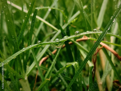 Gotas de lluvia