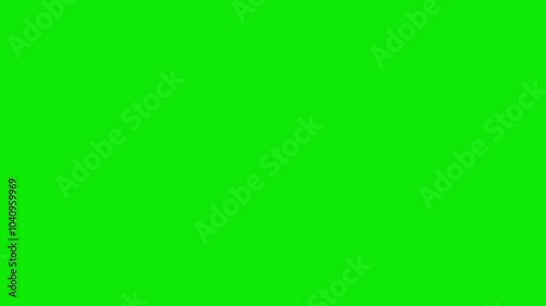 American Bald Eagle in USA Flag Colors - Flying Attack - IV - Green Screen - Realistic symbolic 3D animation isolated on chroma key background
