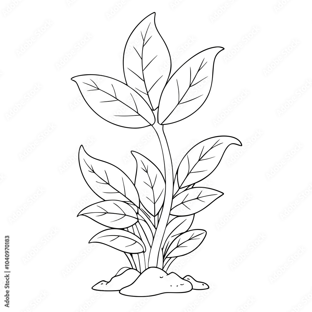 Line art of a seeding plant. Seeding plant outline design for coloring page Line art of a seeding plant. Seeding plant outline design for coloring page