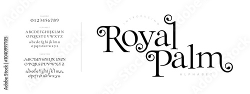 Royal typography beauty fashion elegant minimalist serif italic fonts decorative wedding vintage retro logos. Minimal luxury font alphabet logo. Vector illustration