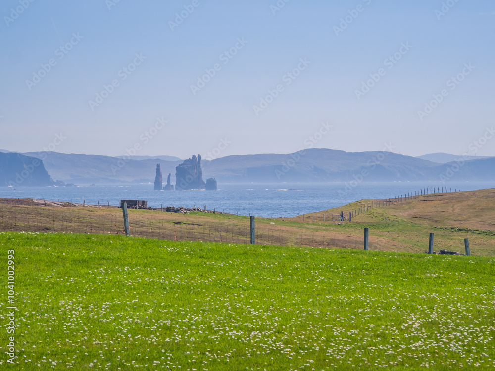 Fototapeta premium Coastal view across a field Shetland