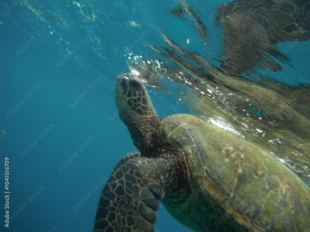 Fototapeta premium Surf breaking 