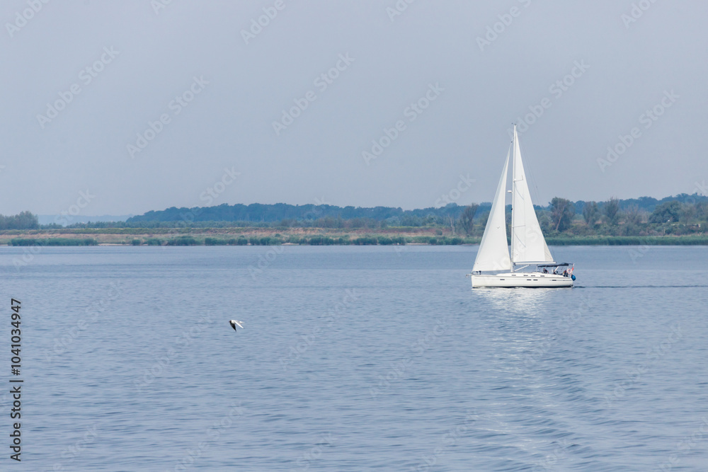 Obraz premium white sailboat, rippled water, cruise, sailing, inland navigation, triangular sail, wind, blue, sailboat, sail, yachting, lake, recreation, vacation, sails, sport, horizon
