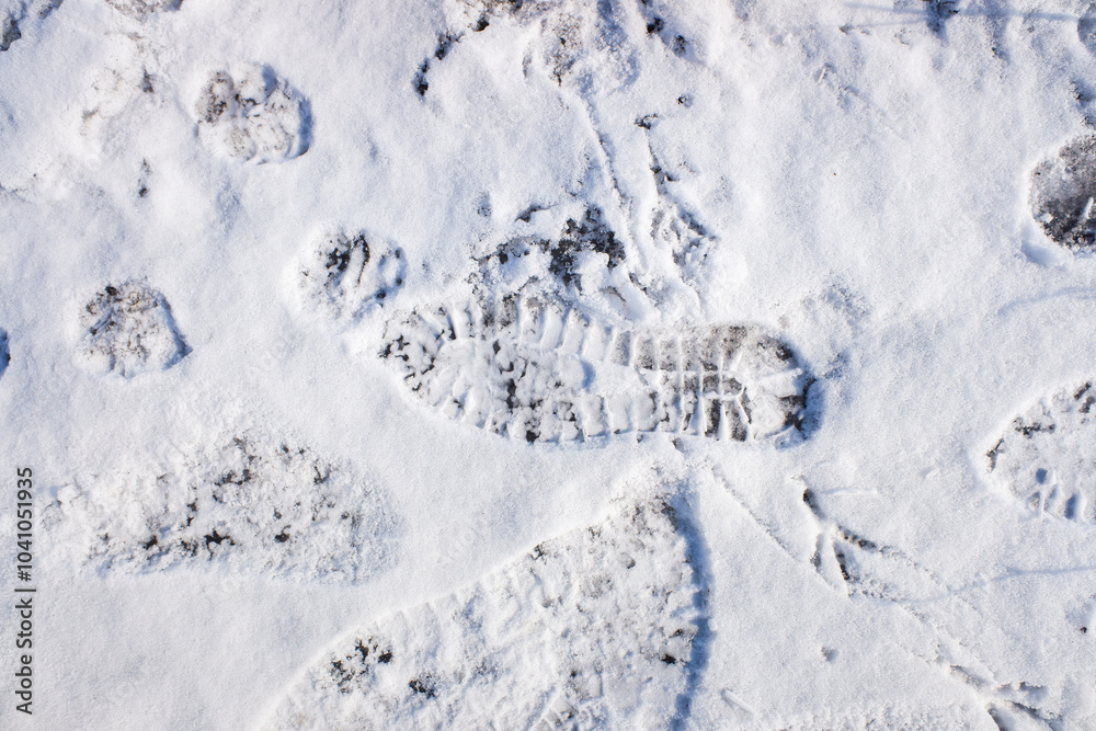 A snow covered ground with a footprint in the snow A snow covered ground with a footprint in the snow