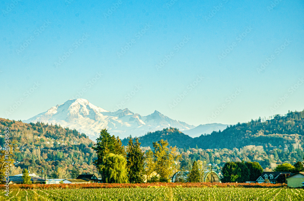 Obraz premium Spectacular view of Fraser Valley countryside around Chilliwack, BC, Canada. Snow covere d peaks of Mt. Baker visible in the background