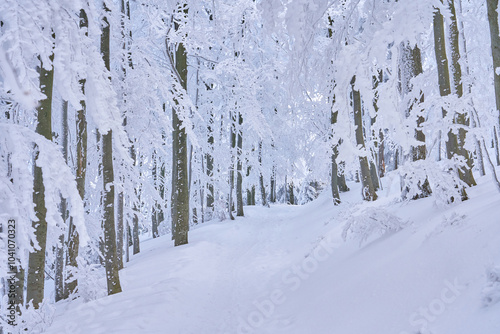 Nature winter wonderland, amazing landscape. Peaceful Christmas vacation in the mountains