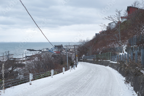 Winter in the city of Hokkaido, Japan photo