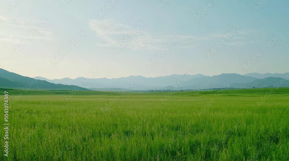 landscape with green grass and sky landscape with green grass and sky