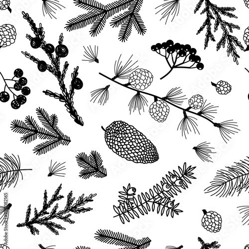 Seamless pattern background with winter christmas holly, spruce branches, twigs with leaves, berries. Floral botanical elements. Hand drawn line vector illustration.