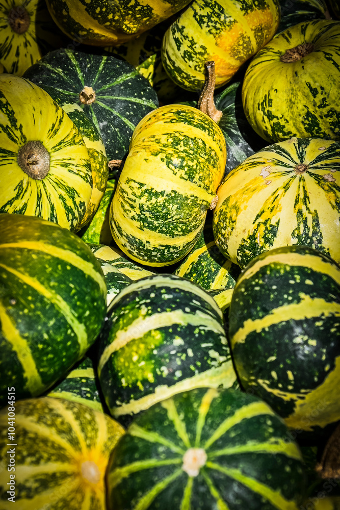 Flat Striped, Kürbis, Zierkürbis, Cucurbita Pepo, Dekoration, Hebst, Herbstfest, Herbstmarkt, Schweiz Flat Striped, Kürbis, Zierkürbis, Cucurbita Pepo, Dekoration, Hebst, Herbstfest, Herbstmarkt, Schweiz