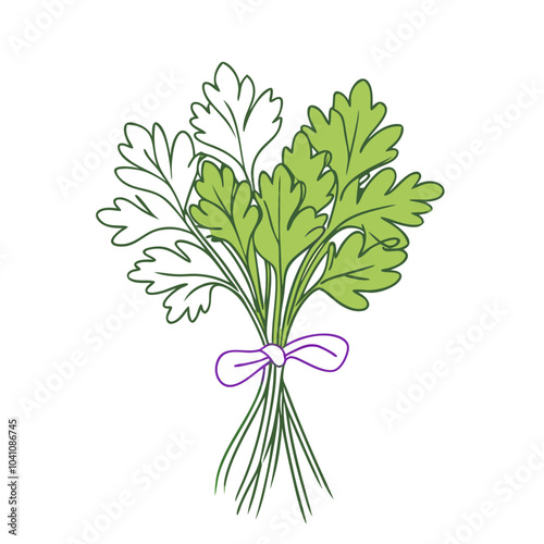 Colorful parsley herb bundle illustration featuring fresh green leaves