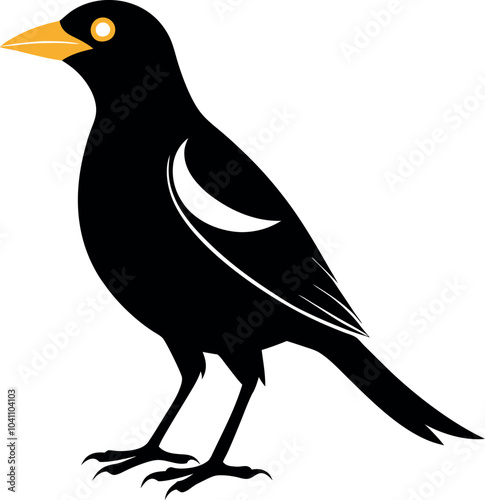mynah bird cartoon  icon design
