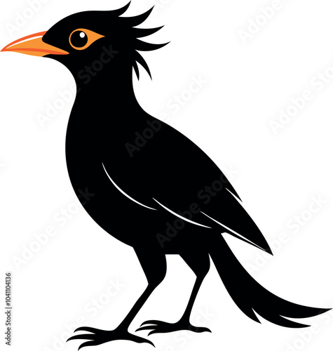 mynah bird cartoon  icon design