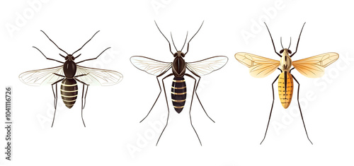 set of a Mosquito animal insect bee collection isolated transparent background