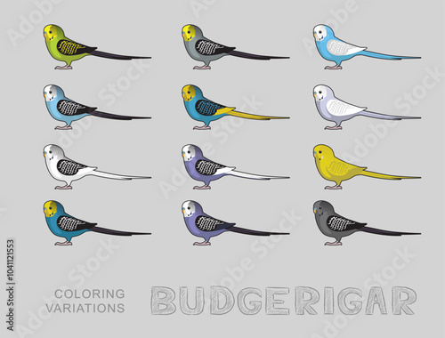 Budgerigar Parrot Talking Birds Coloring Variations Vector Illustration