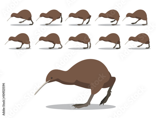 Kiwi Bird Running Animated Animation Sequence Cartoon Vector