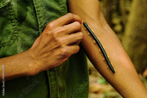 Centipede Crawling on Man’s Arm in Tropical Forest photo