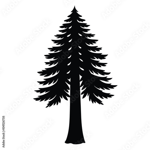 redwood tree