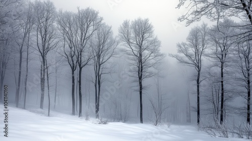 Misty Winter Forest with Bare Trees and Snow-Covered Ground 