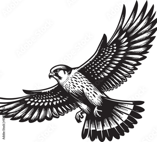 Falco Rufigularis (bat falcon) vector photo