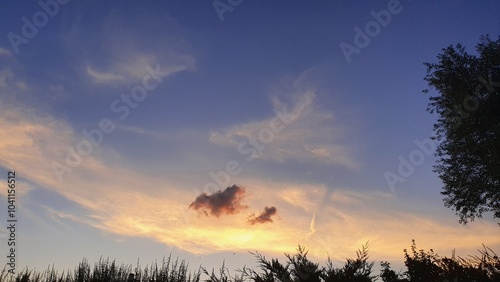 sunset in the forest
