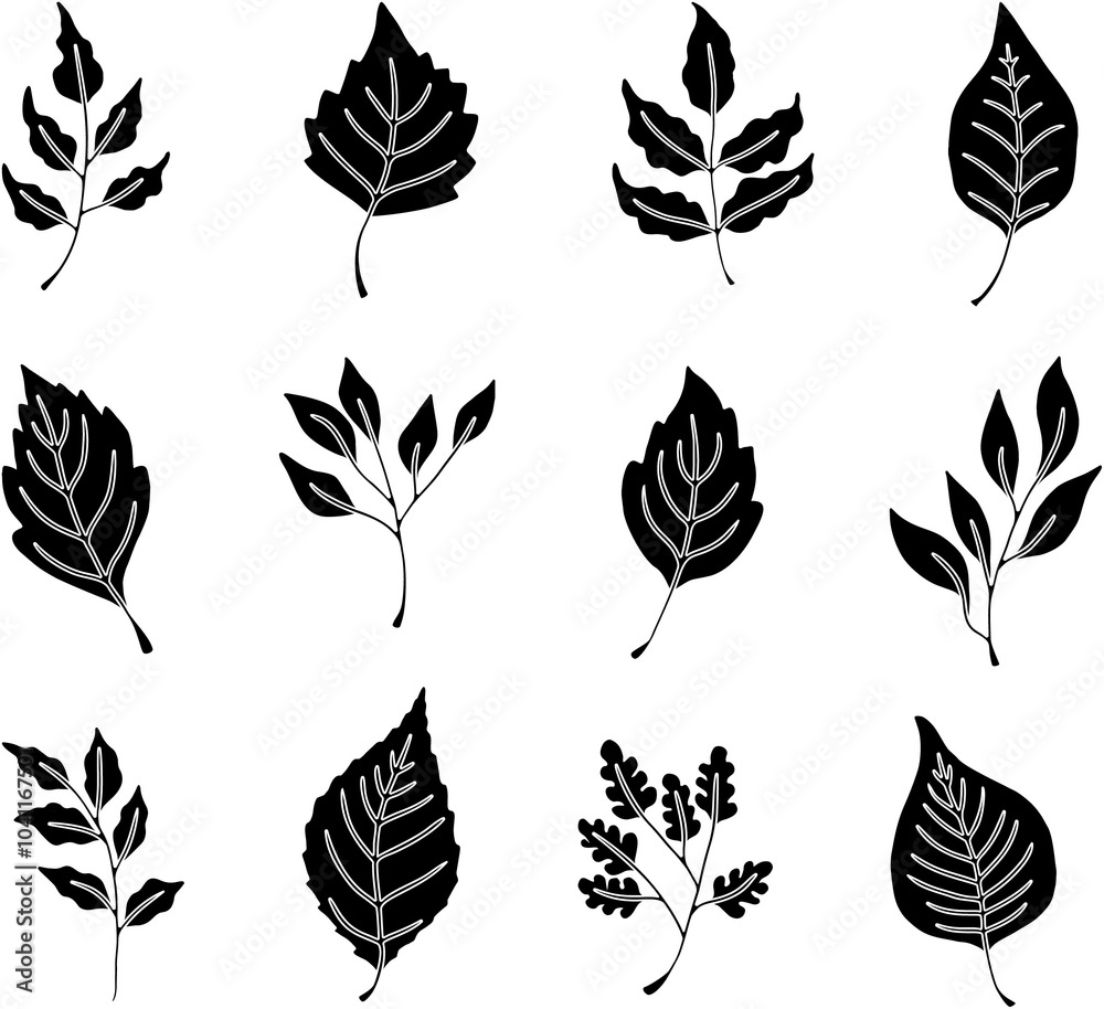Leaves icons set. Flat black vector botanical elements. Beautiful isolated greens leaf. Organic object for frame, border, ornament divider. Great for greeting card. Silhouet eco collection. Leaves icons set. Flat black vector botanical elements. Beautiful isolated greens leaf. Organic object for frame, border, ornament divider. Great for greeting card. Silhouet eco collection.