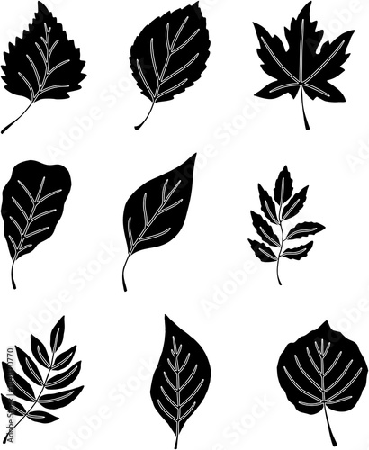 Vector set with black simple leaf silhouettes in flat style for icons and graphic design