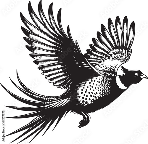Golden pheasant vector
