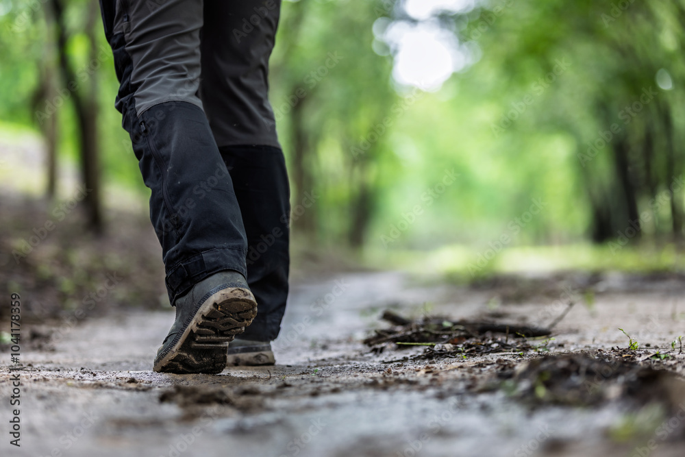 Hiker Walking Through Forest Trail: Nature Exploration, Outdoor Adventure, and Environmental Connection Hiker Walking Through Forest Trail: Nature Exploration, Outdoor Adventure, and Environmental Connection