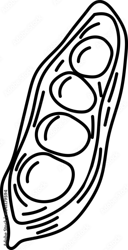 Green peas black and white on white background. Vector illustration. Green peas black and white on white background. Vector illustration.