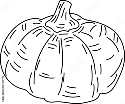 Pumpkin black and white on white background. Vector illustration.