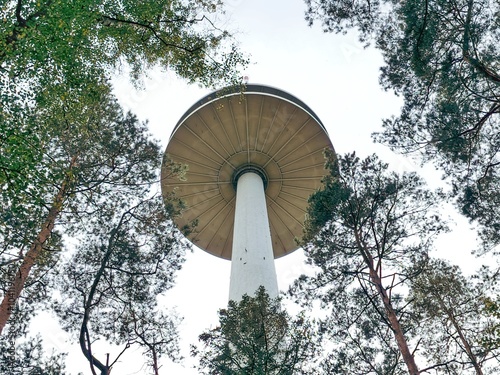 Obraz na plátně Ein Fernmeldeturm im Wald
