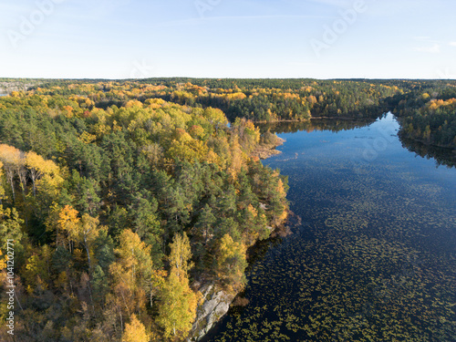 Aerial view of autumn forest landscape with yellow leaf trees and foliage by a blue calm lake in Sweden on a clear fall day