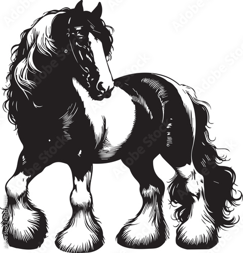 Shire horse vector