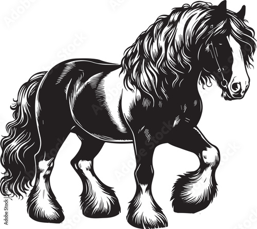 Shire horse vector