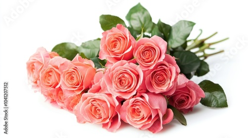 Vibrant bouquet of fresh pink roses isolated on a white backdrop