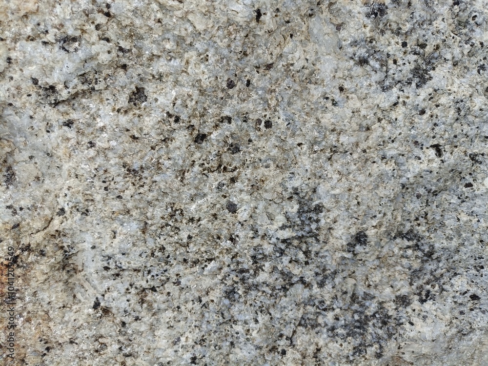 This image features a versatile concrete background, showcasing a textured surface that highlights the raw and industrial beauty of concrete. This image features a versatile concrete background, showcasing a textured surface that highlights the raw and industrial beauty of concrete.