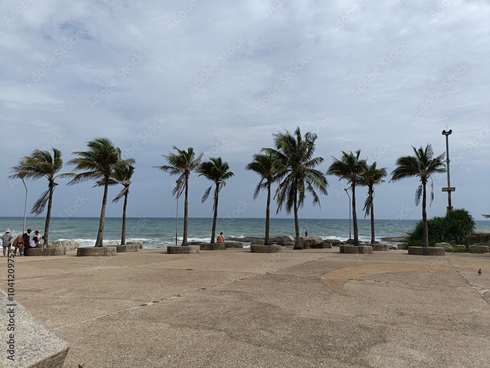 This image showcases a serene view of trees lining a beautiful beach. The lush greenery of the coastal vegetation contrasts beautifully with the sandy shores and vibrant blue ocean. This image showcases a serene view of trees lining a beautiful beach. The lush greenery of the coastal vegetation contrasts beautifully with the sandy shores and vibrant blue ocean.