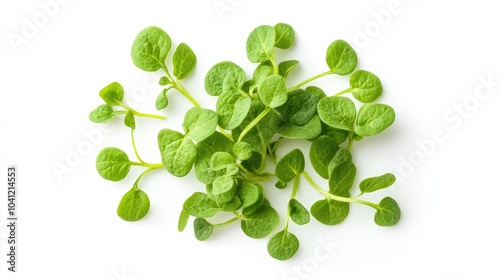 Brahmi herb on a white background viewed from above