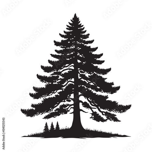 pine tree vector silhouette