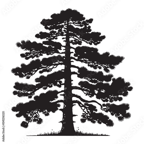 pine tree vector silhouette