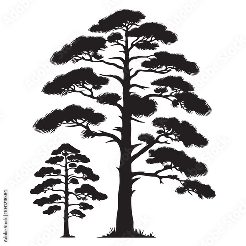pine tree vector silhouette