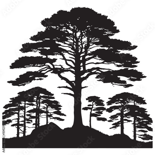 pine tree vector silhouette