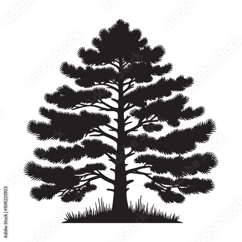 pine tree vector silhouette