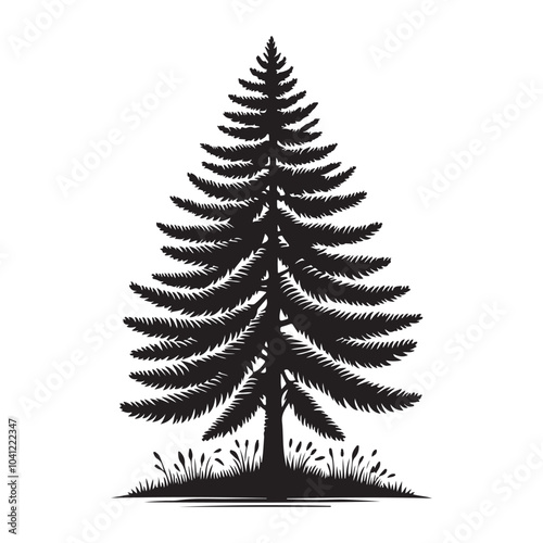 pine tree vector silhouette