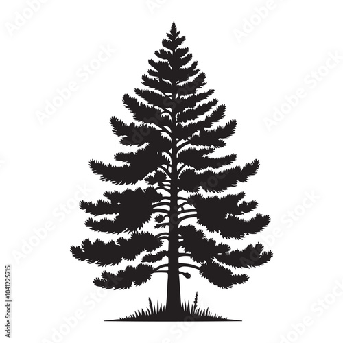 pine tree vector silhouette